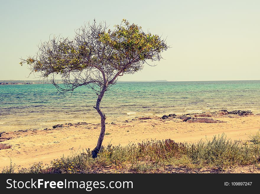 Beach, Beautiful, Cyprus