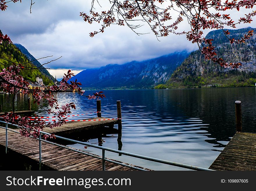 Daylight, Dock, Lake