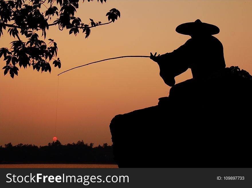 Action, Adult, Backlit