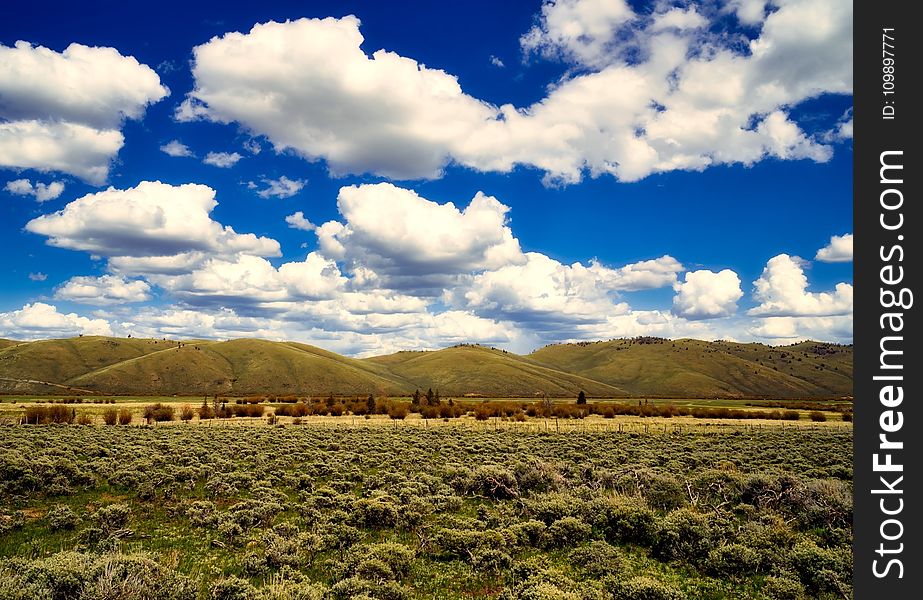 Bushes, Clouds, Countryside