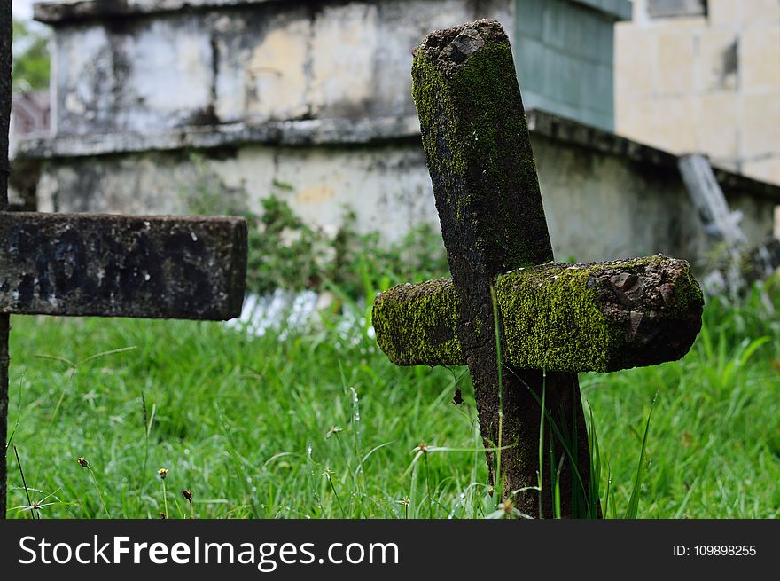 Ancient, Burial, Cemetery