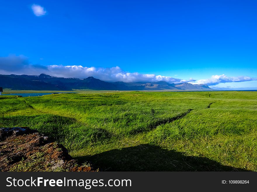 Agriculture, Blue, Sky