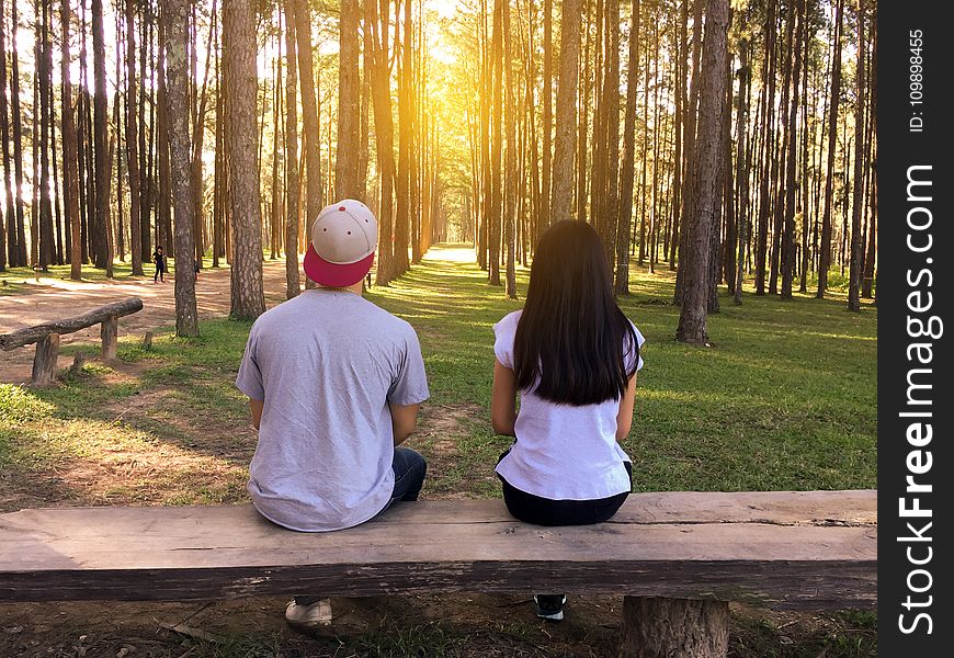 Bench, Countryside, Couple