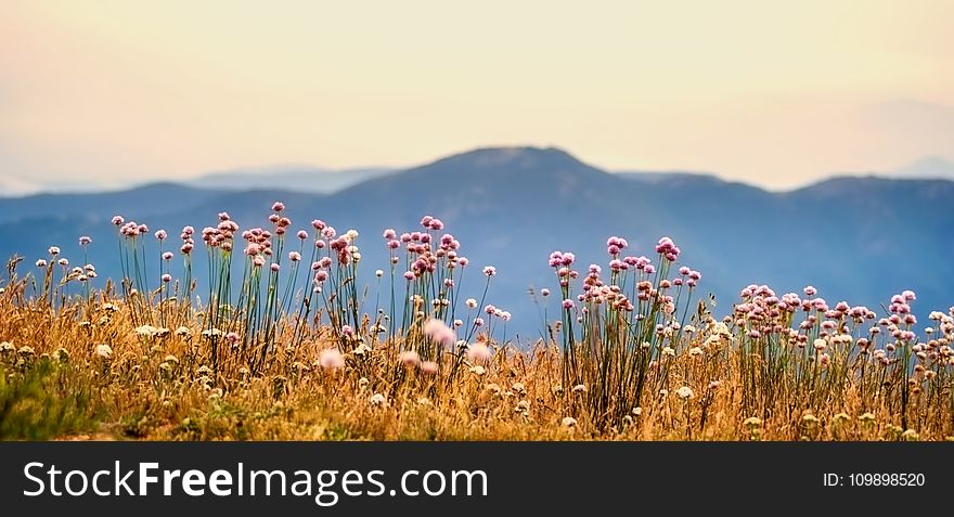 Clouds, Country, Countryside