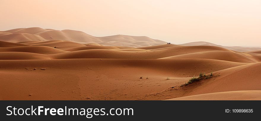 Daylight, Desert, Drought
