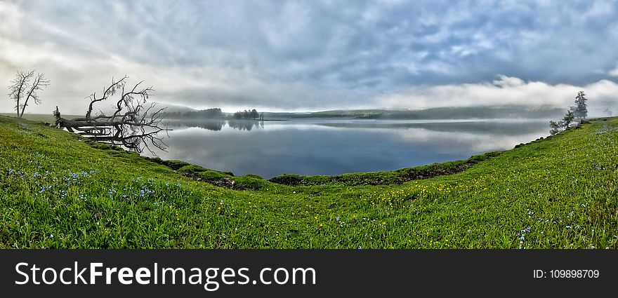 Clouds, Environment, Field