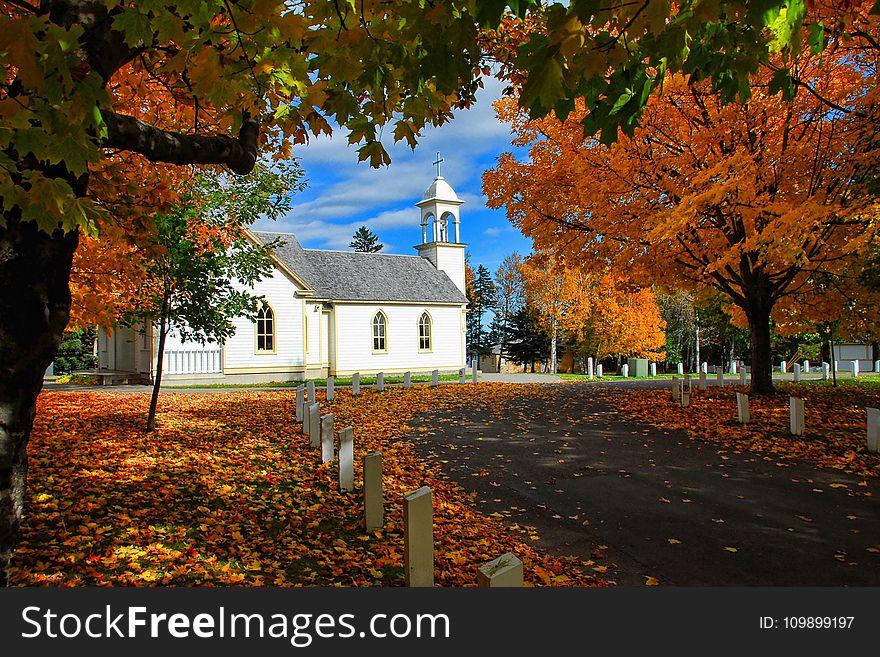Autumn, Leaves, Church