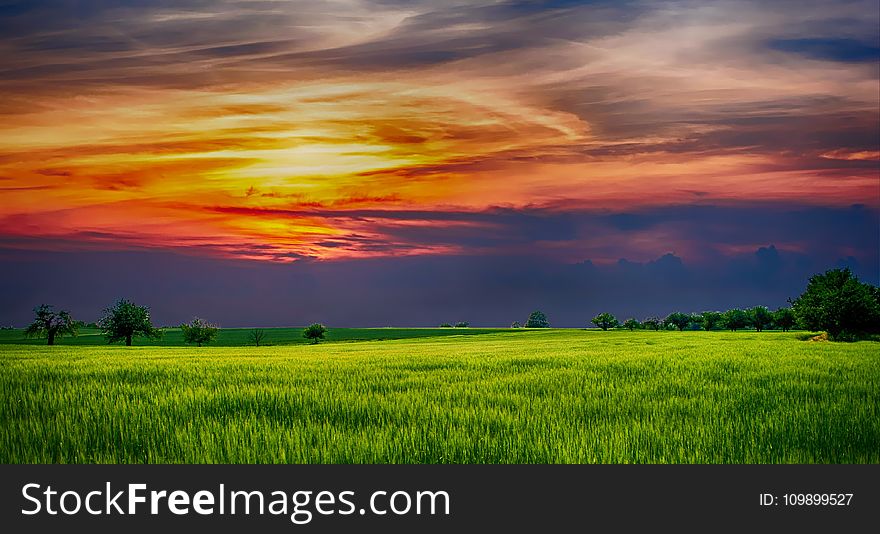 Agriculture, Clouds, Country