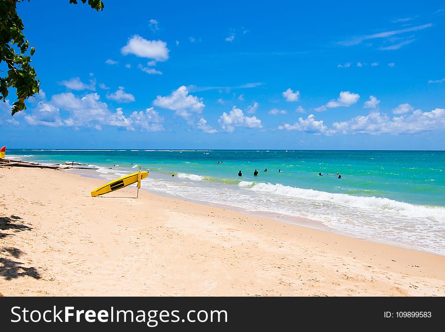 Activity, Beach, Beautiful