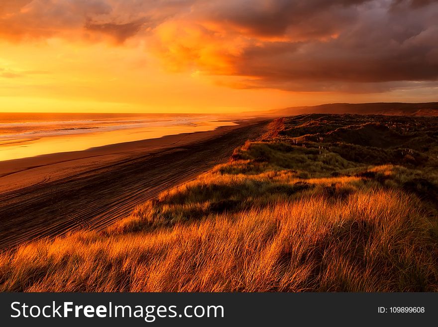 Backlit, Beach, Beautiful