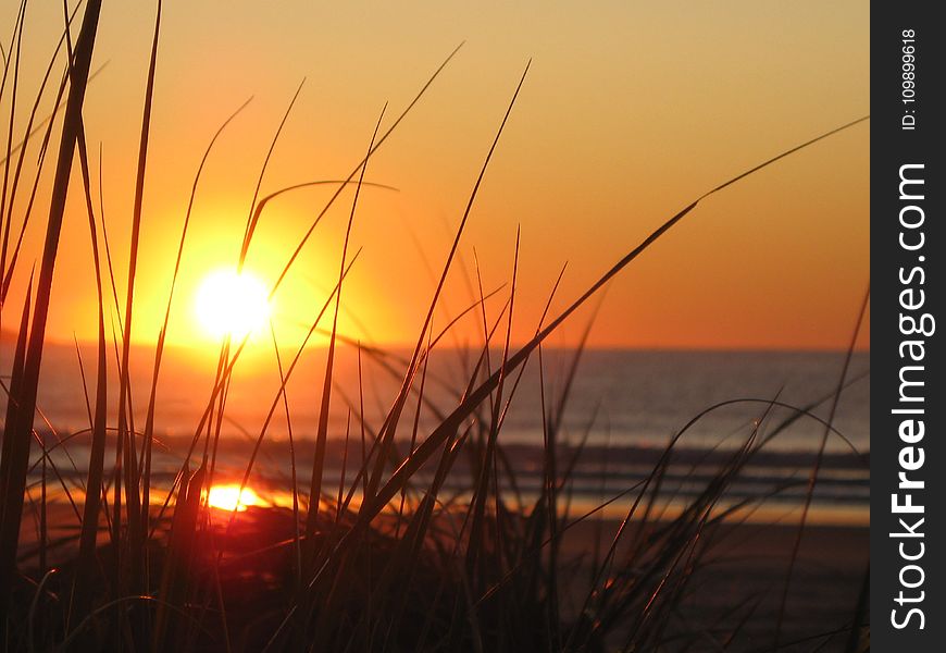 Beach, Dawn, Dusk