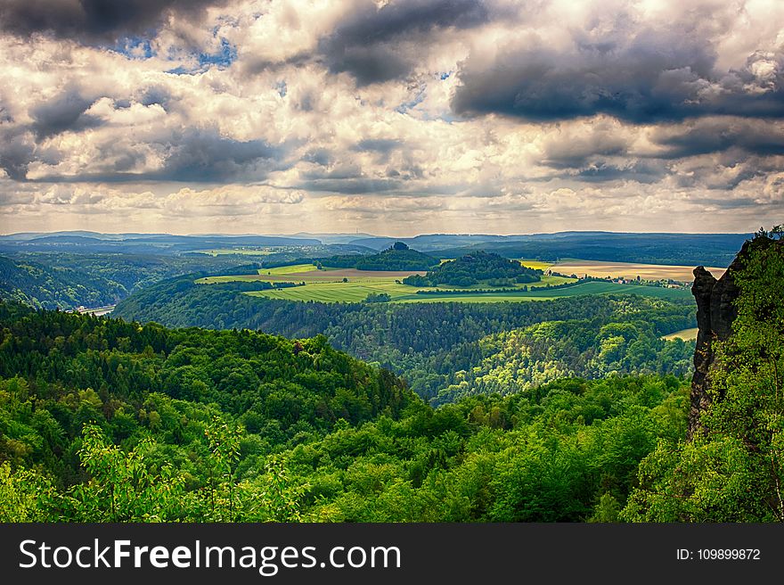 Clouds, Forest, Idyllic