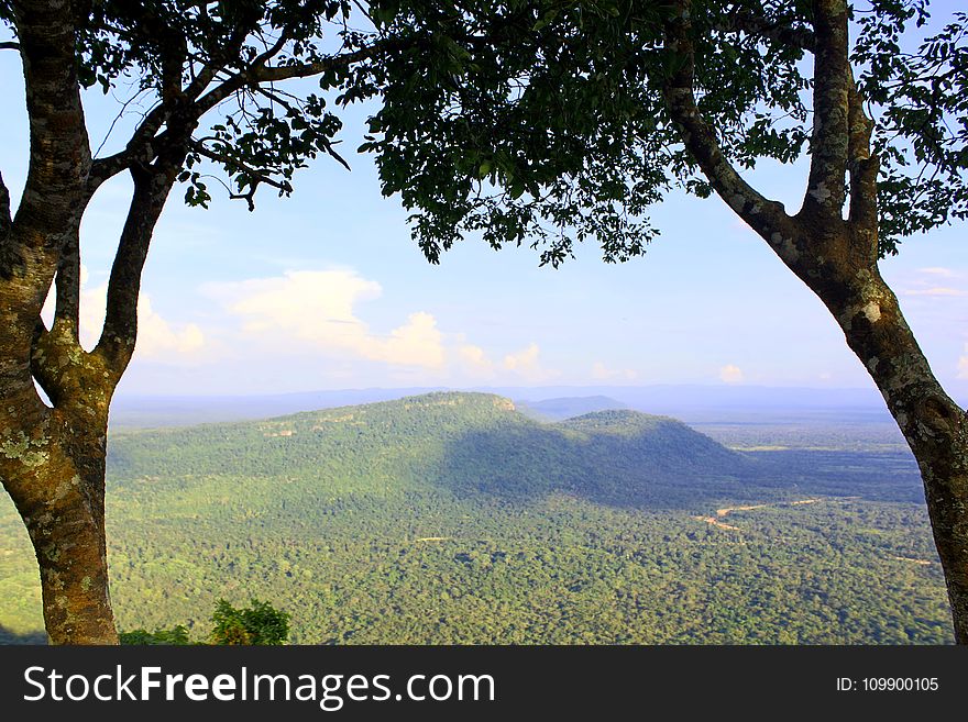 Branches, Clouds, Countryside