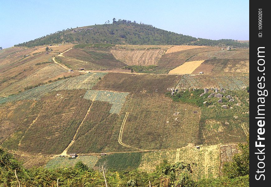 Countryside, Environment, Field