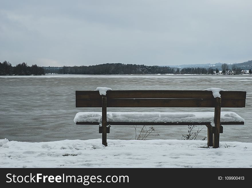 Bench, Cold, Frost