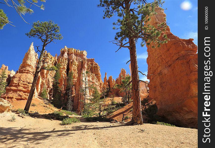 Bryce, Canyon, Cliff