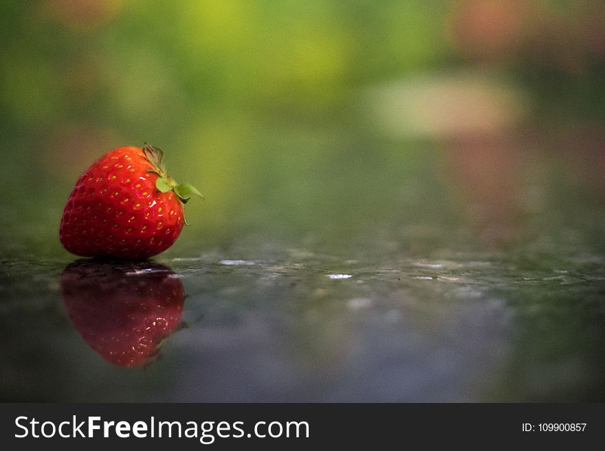 Berry, Blur, Close-up