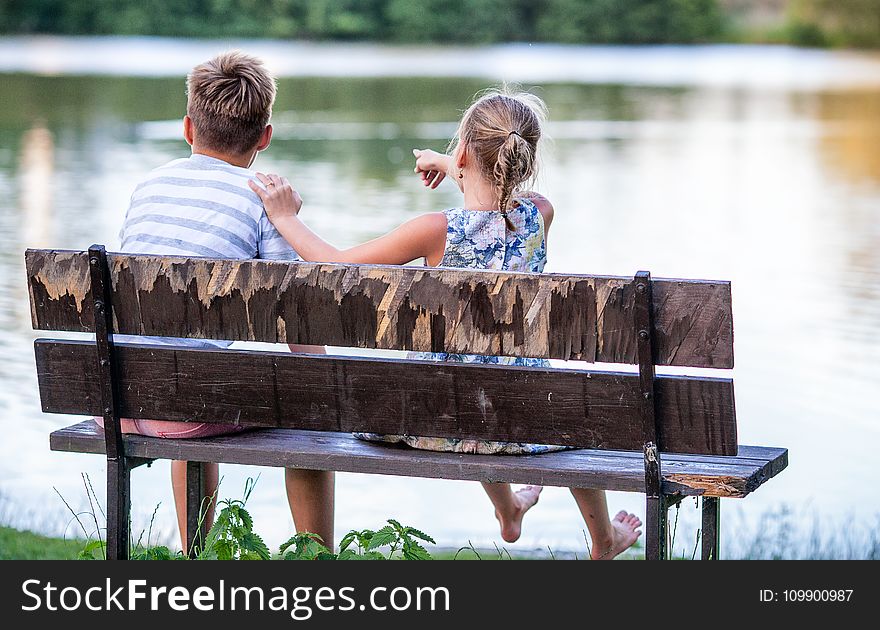 Back, View, Bench