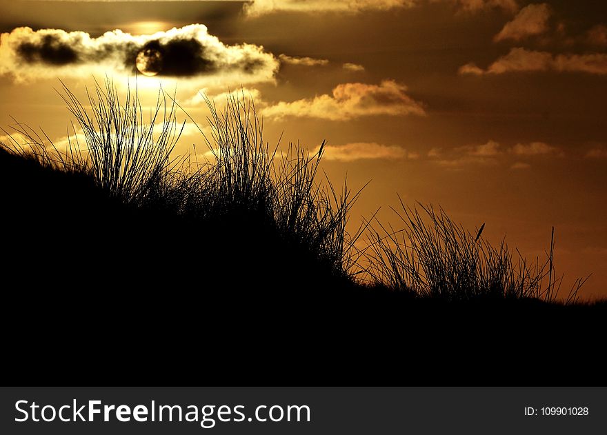 Abendstimmung, Afterglow, Backlit