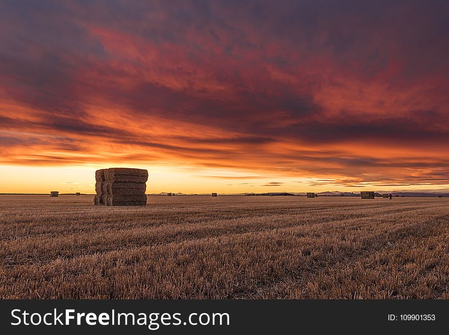 Agriculture, Clouds, Countryside