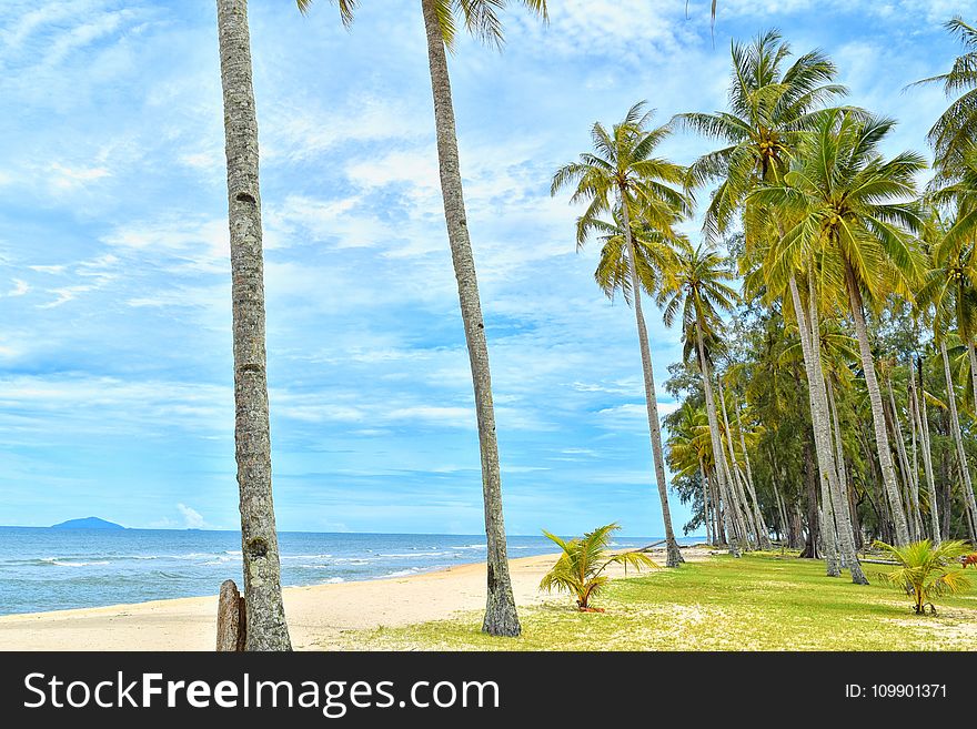 Beach, Blue, Clouds