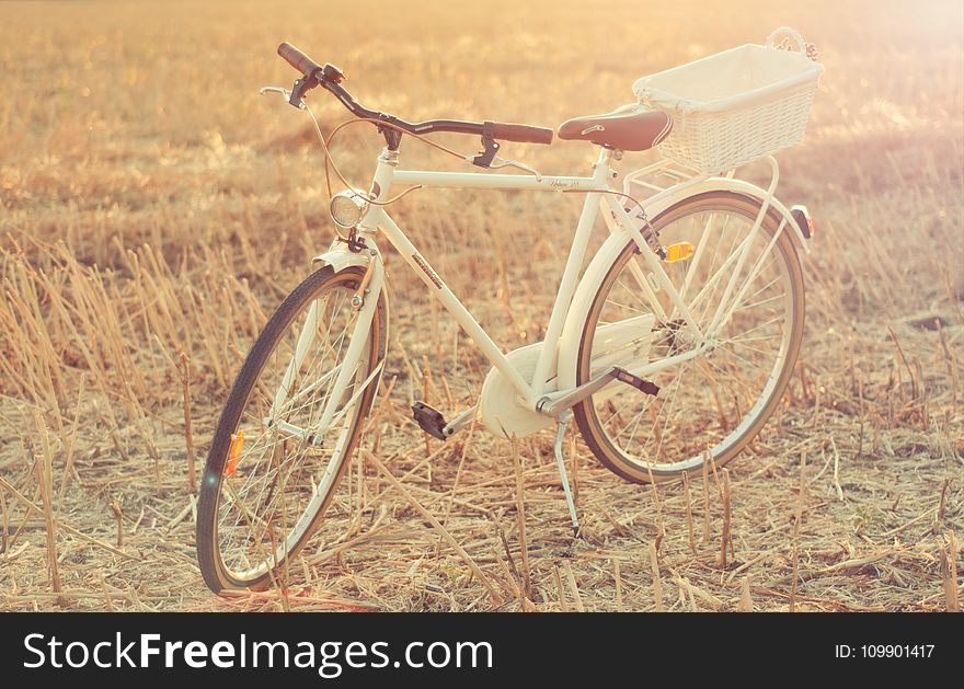 Bike, City, Color