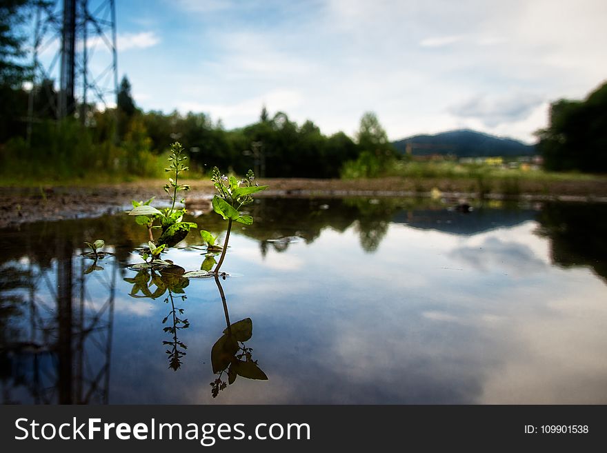 Clouds, Daylight, Environment