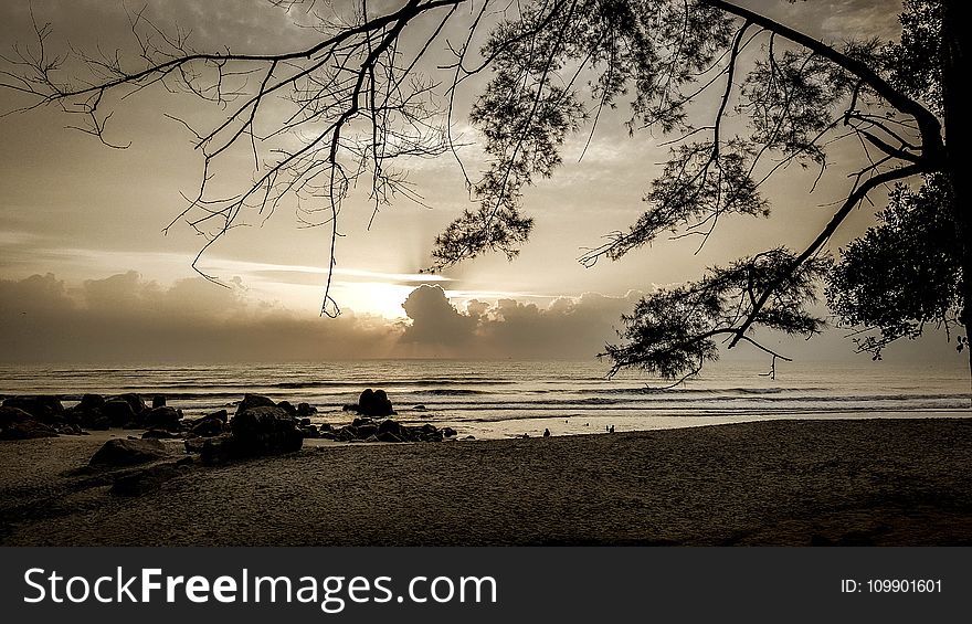 Bay, Beach, Black-and-white