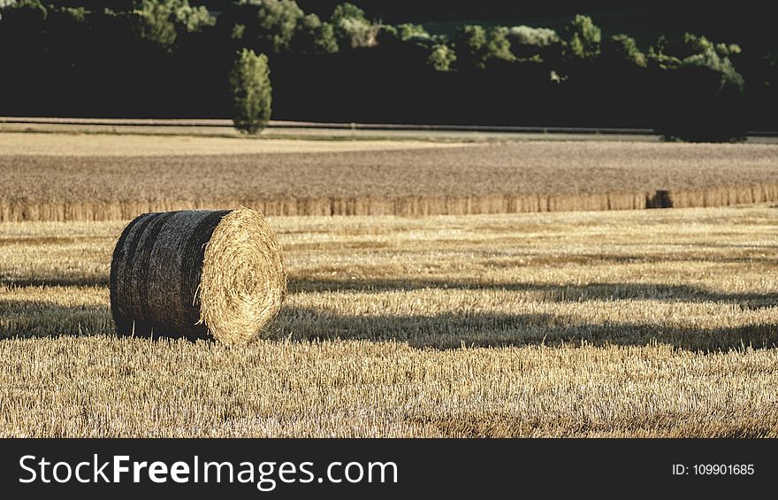 Agriculture, Country, Countryside