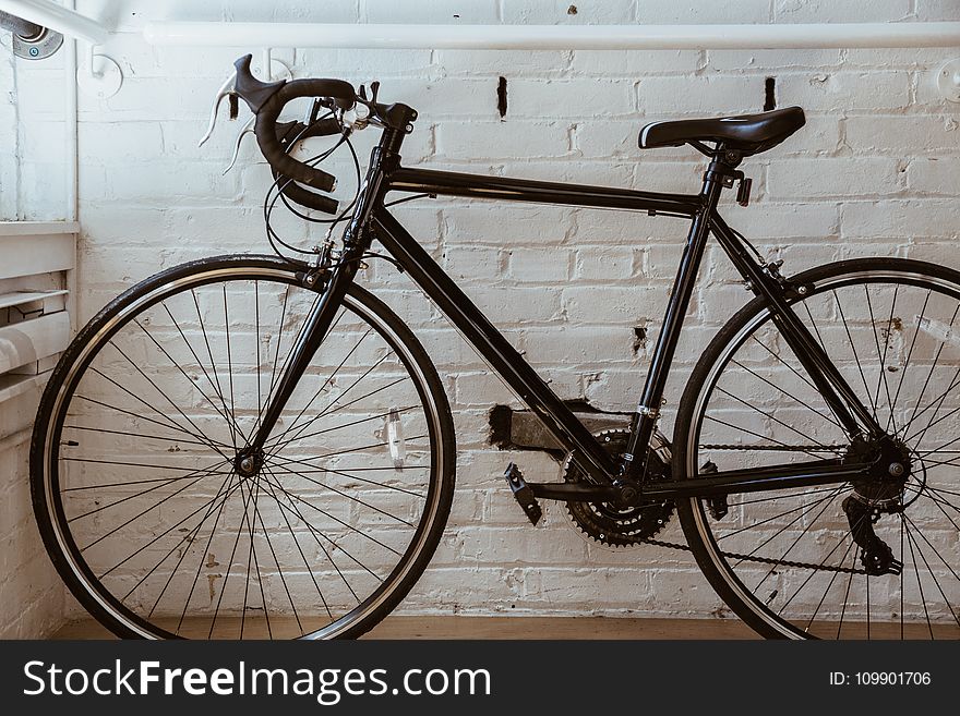 Bicycle, Bike, Biker