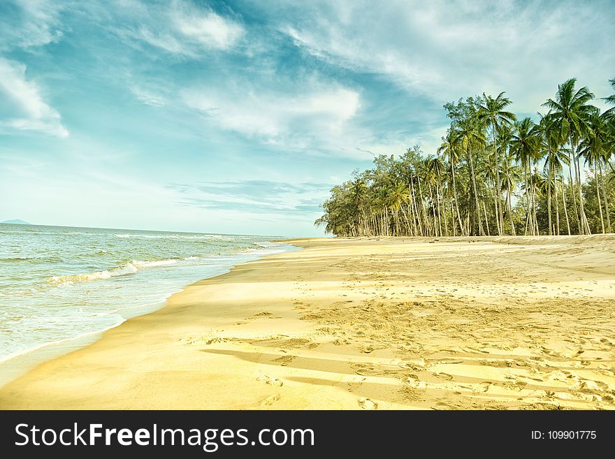 Beach, Blue, Clouds