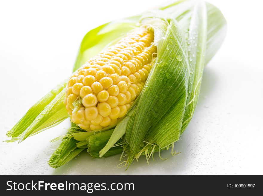 Bright, Close-up, Corn