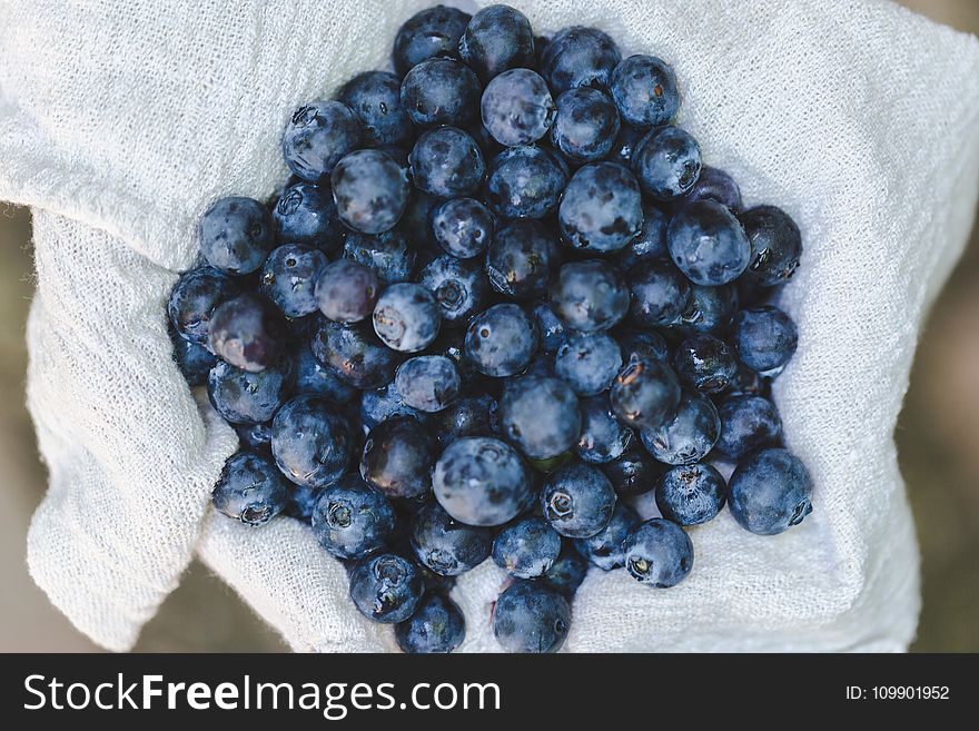 Abundance, Berries, Blueberries