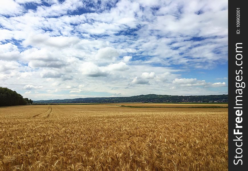 Agriculture, Blue, Sky