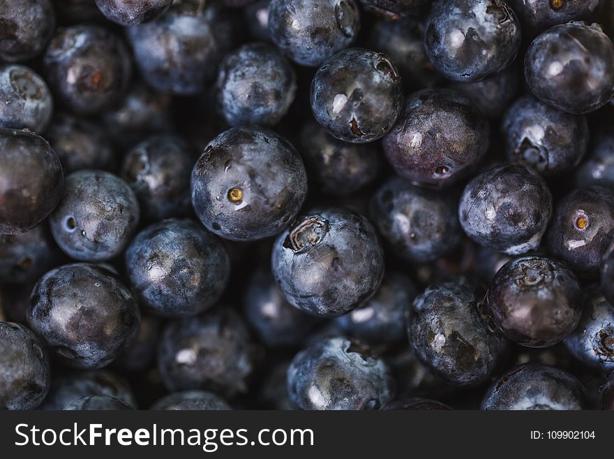 Abundance, Antioxidant, Blueberries
