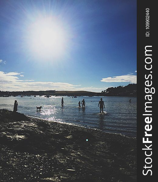 Backlit, Beach, Daylight