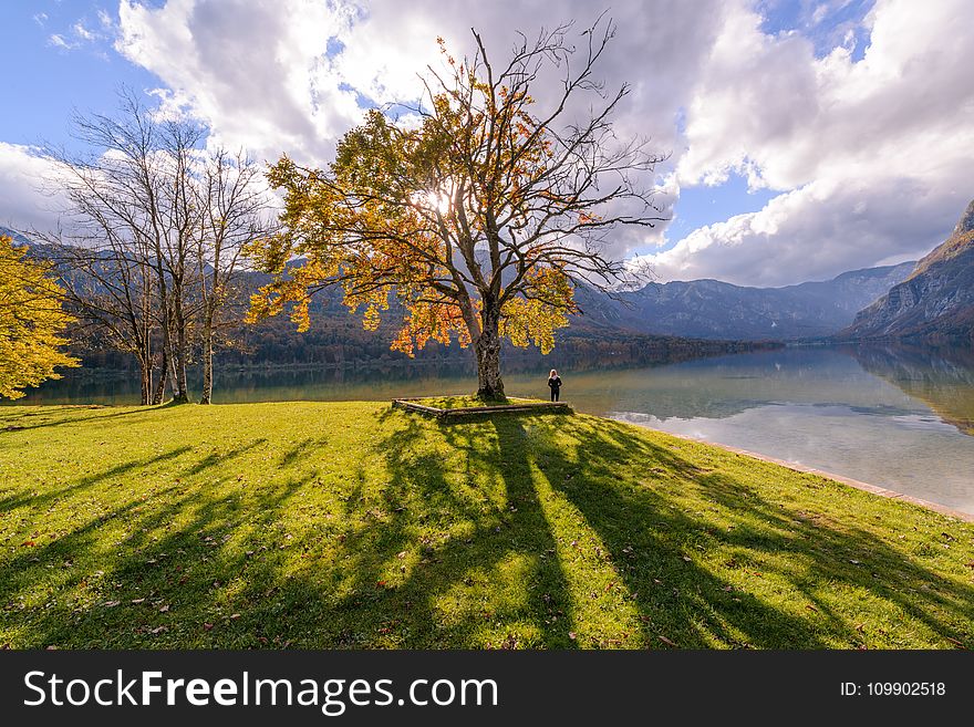 Autumn, Clouds, Countryside