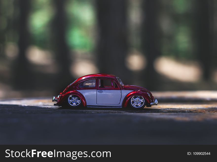 Beetle, Car, Macro