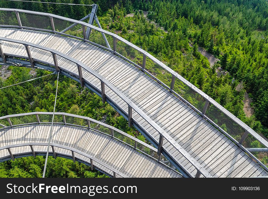 Bridge, Conifers, Environment