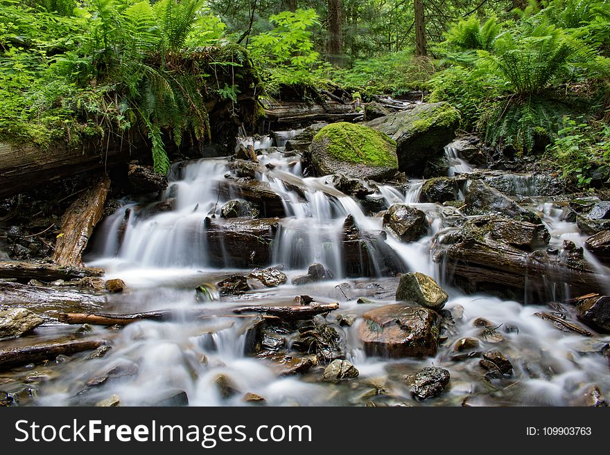 Cascade, Creek, Falls