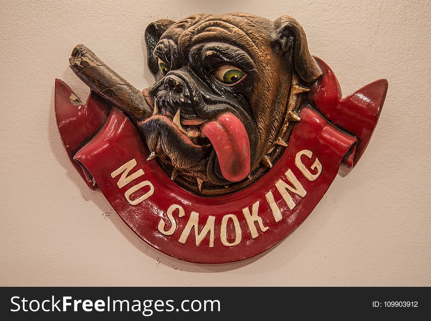 No Smoking Signage Mounted on Wall