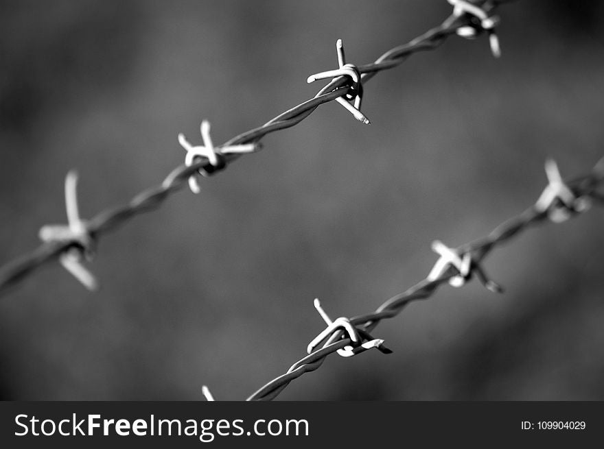 Barbed, Wire, Black-and-white