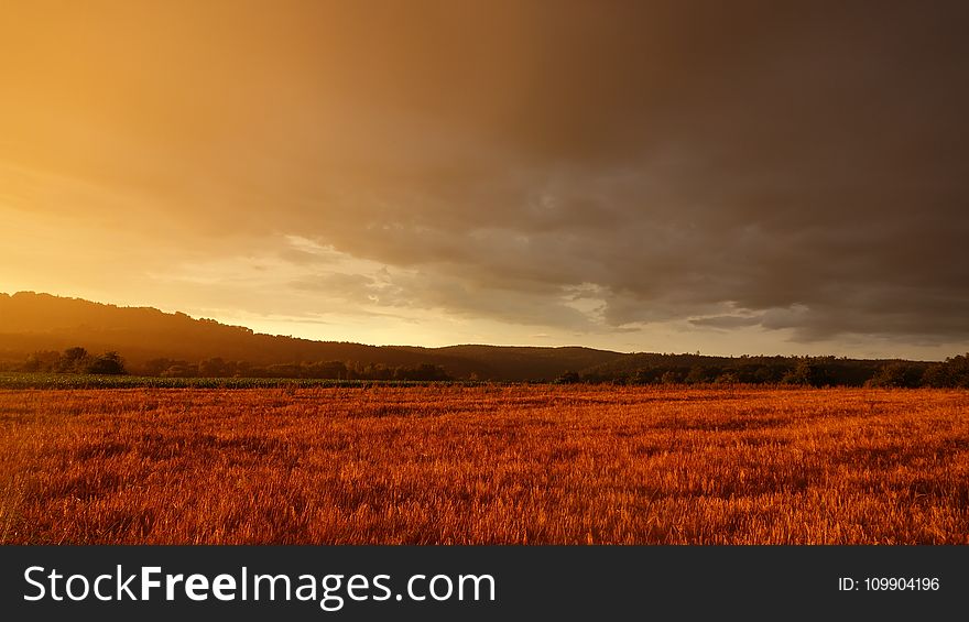 Agriculture, Clouds, Countryside