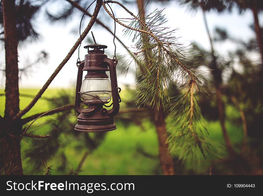 Kerosene lamp in the woods