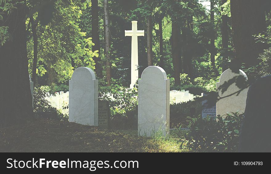 Burial, Cemetery, Cross
