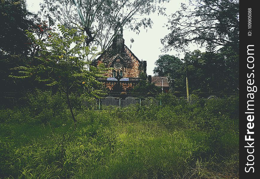 Architecture, Church, Countryside