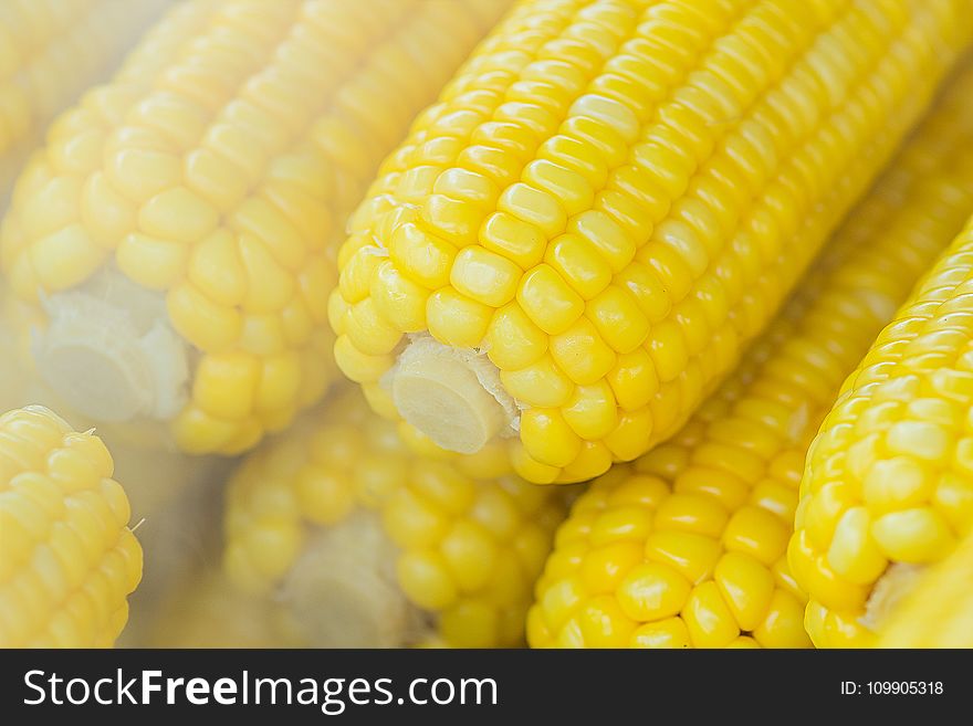 Pile Of Sweet Corns