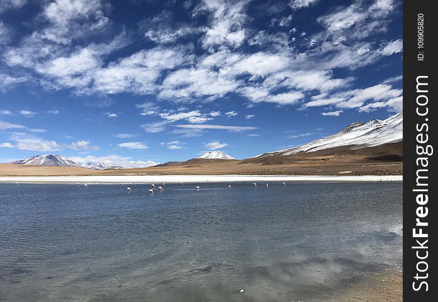 Daylight, Lake, Landscape