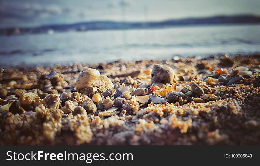 Beach, Blur, Close-up