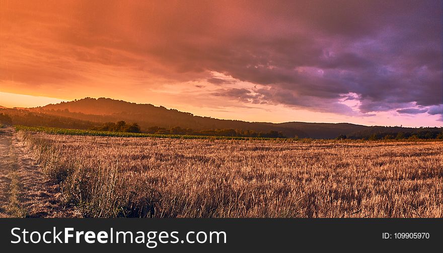 Agriculture, Clouds, Countryside